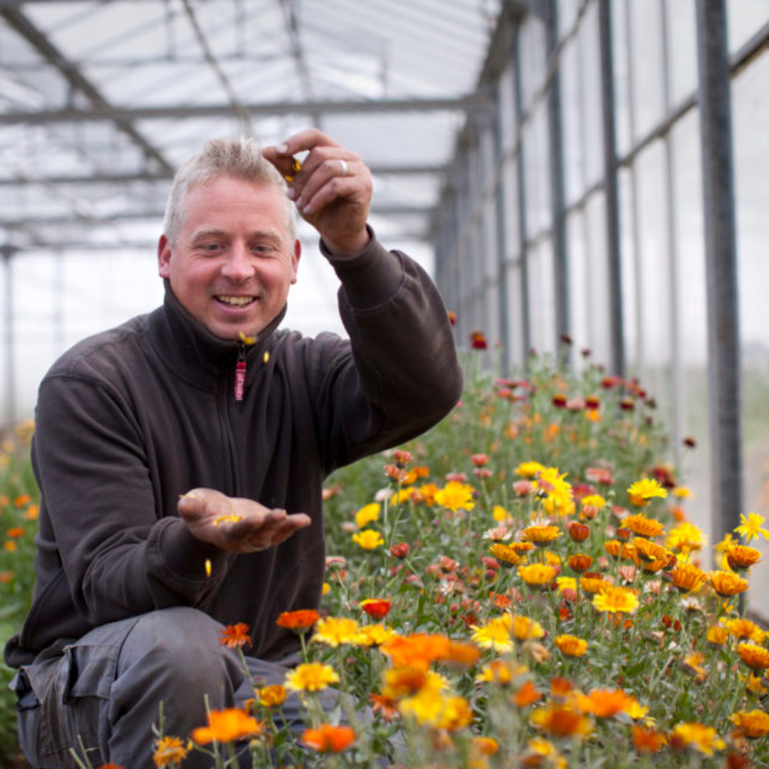 Mattias van De Blauwe Spie in zijn serre