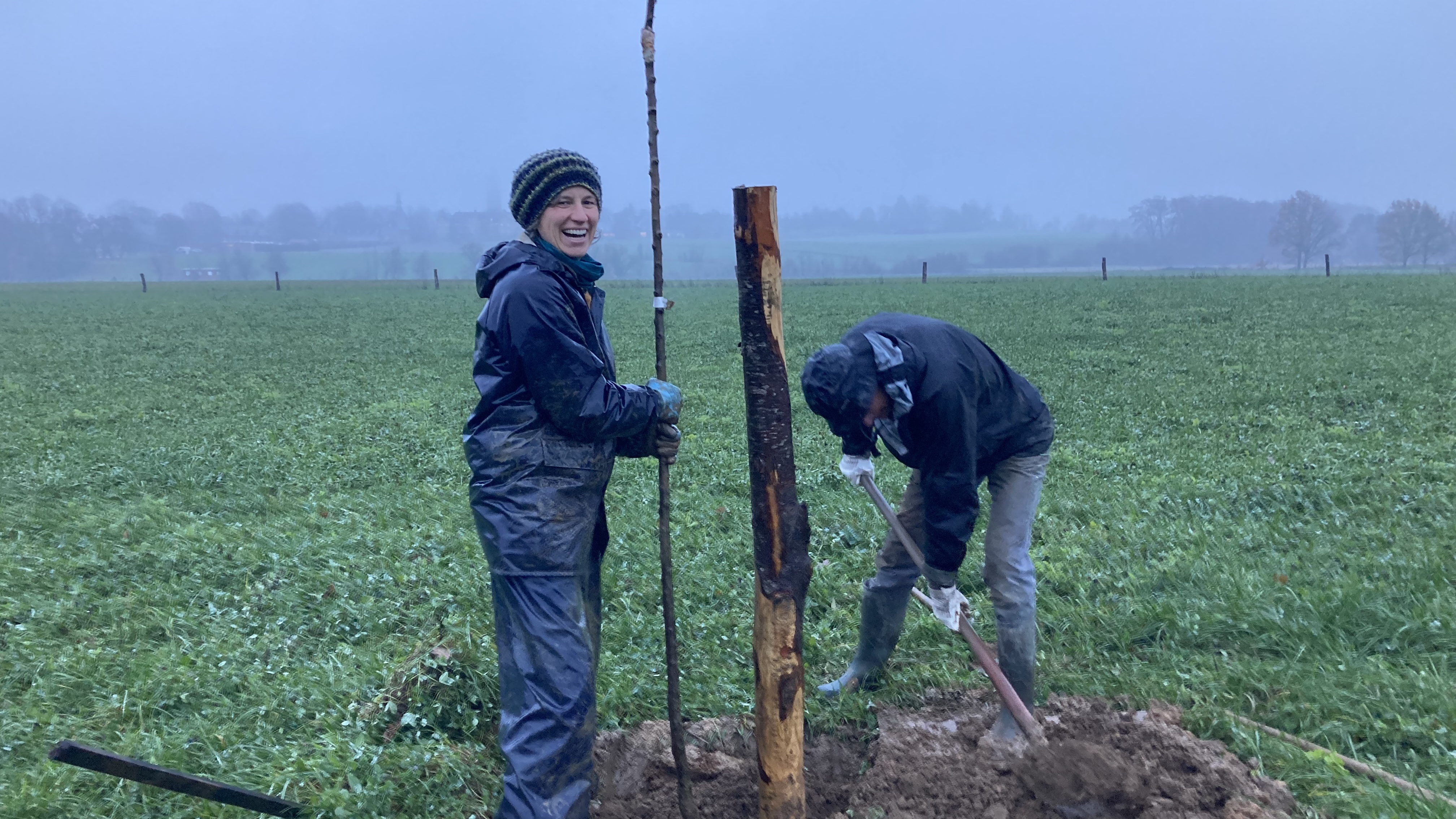 Aanplant Fruitbomen