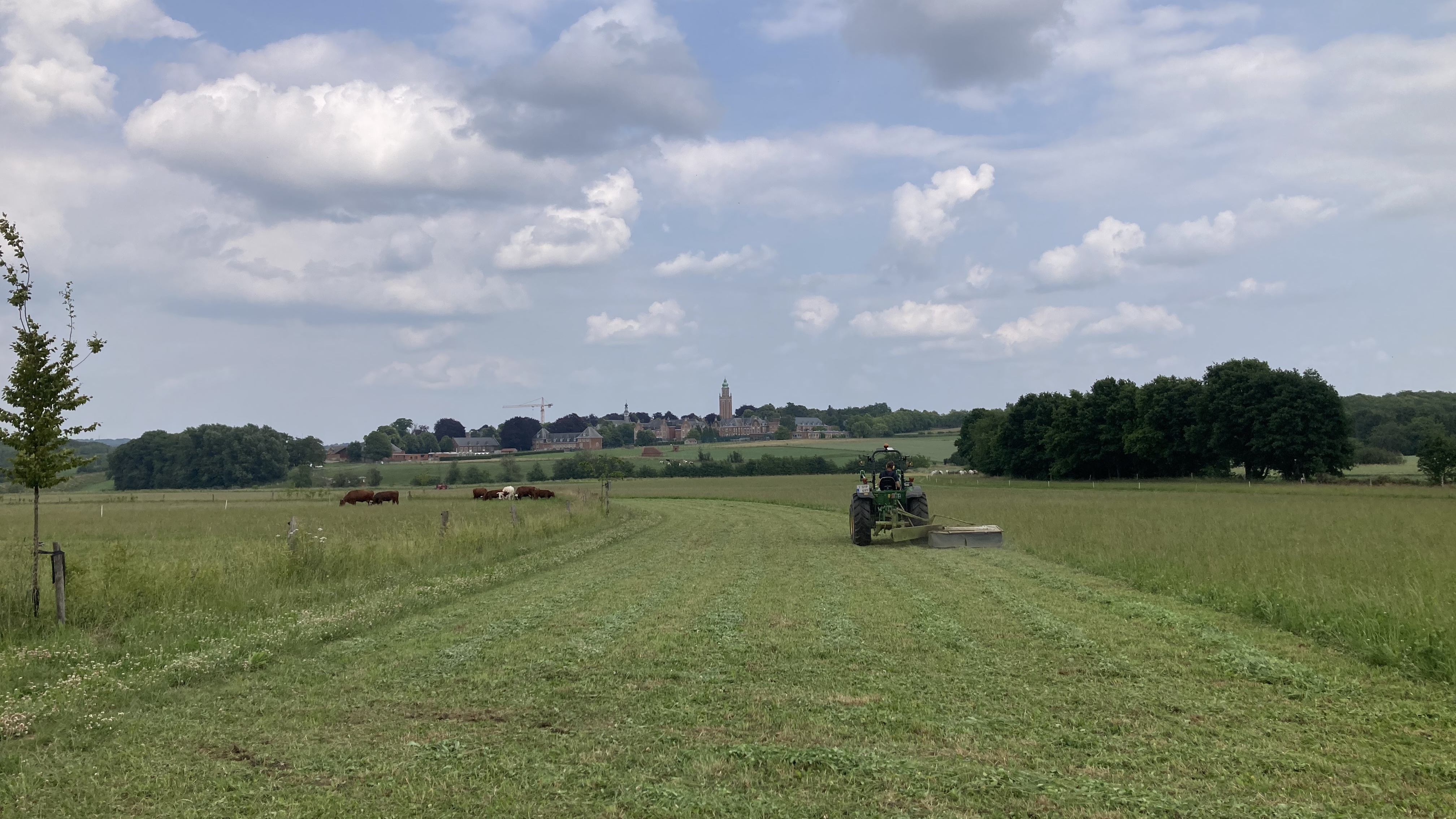 Planten in de Herpendalvallei
