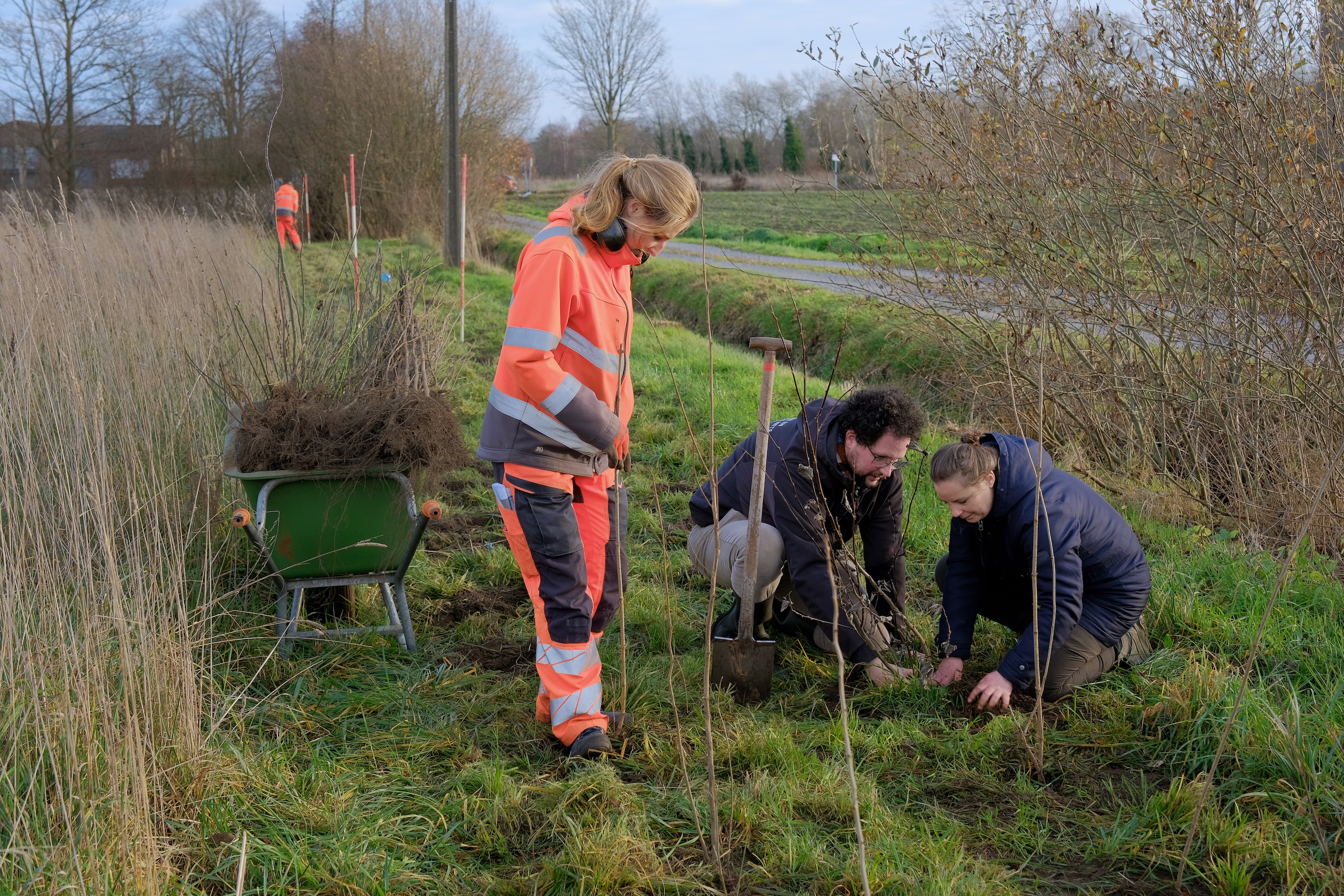 200 meter haag werd er aangeplant. 