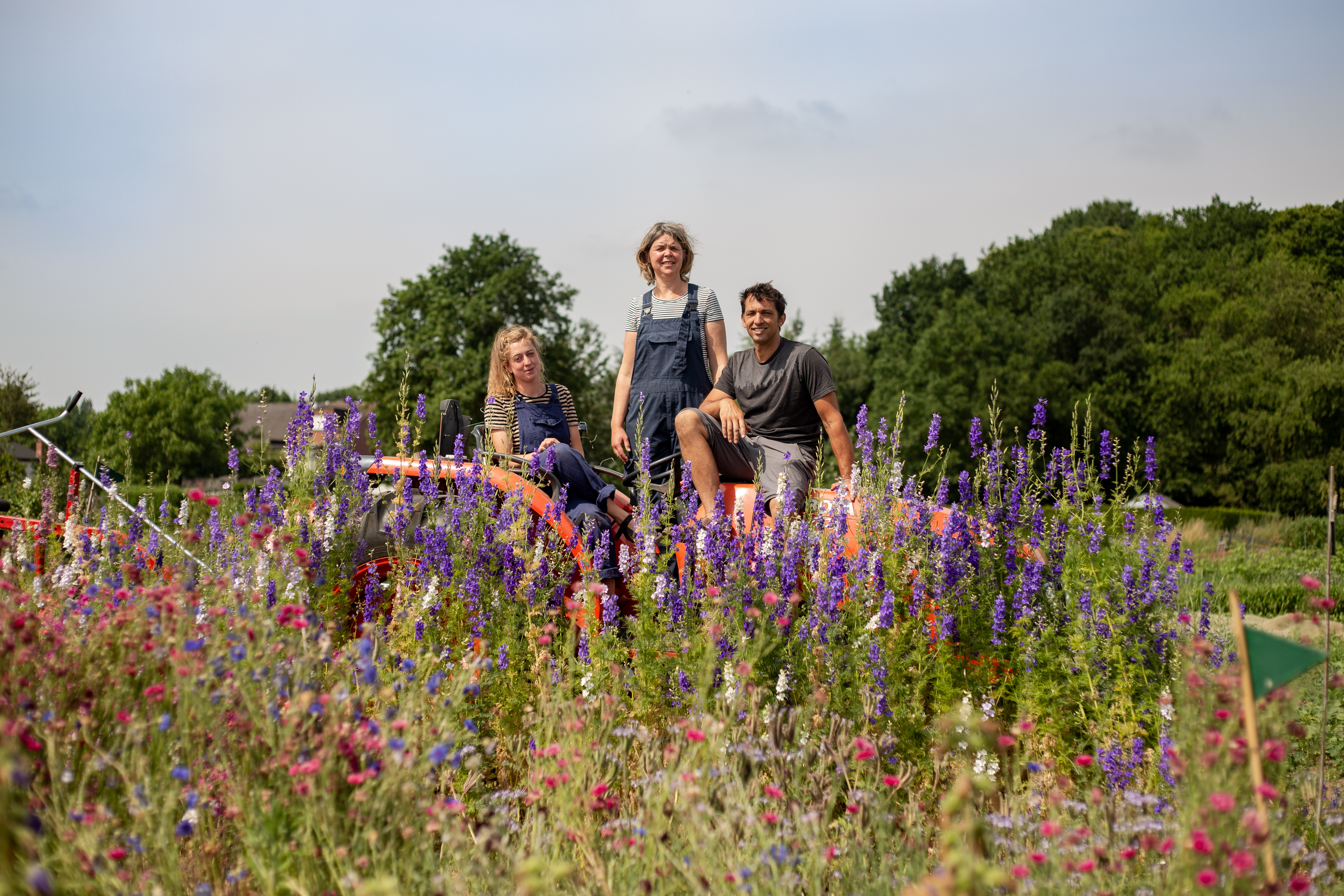 Portret Loof en bezen