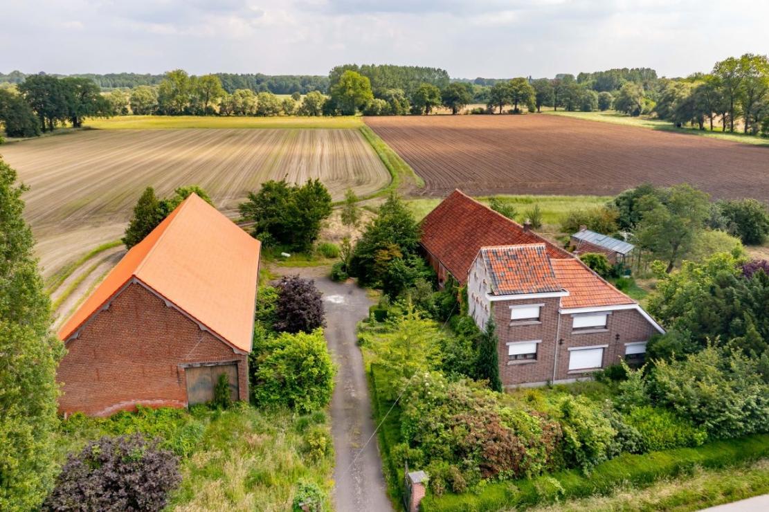 Foto Agro Vastgoed