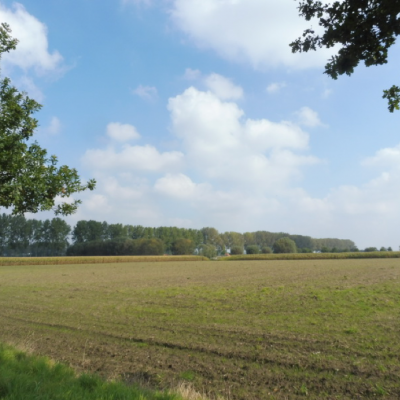 zicht op Beverhoutsveld