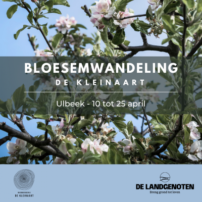 Visual Bloesemwandeling