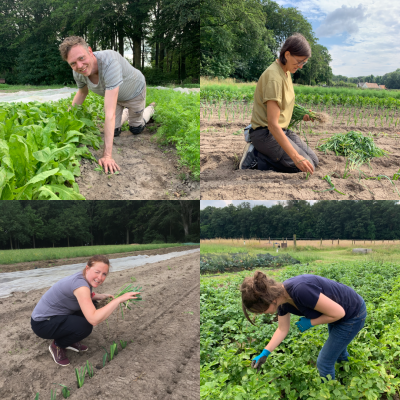 Team De Landgenoten aan het werk op het veld