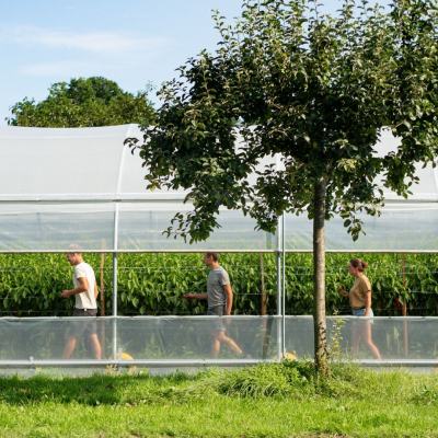 Drie boeren in een serre