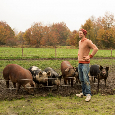 Pepijn bij zijn varkens