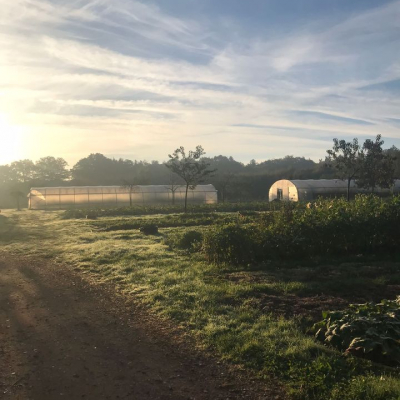 foto van het veld Herdershof