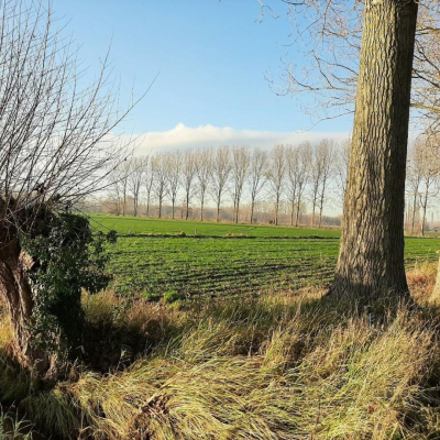 OCMW Gent Mendonk gezocht