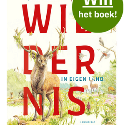 Cover Wildernis in eigen land