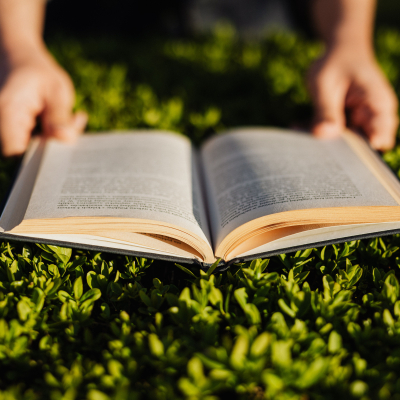 Persoon die boek leest op grasveld tijdens ondergaande zon