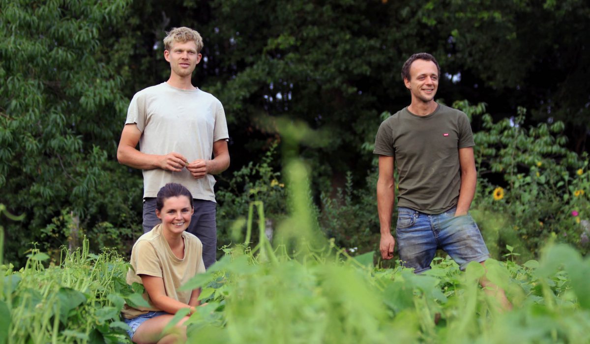 Drie boeren op Herdershof