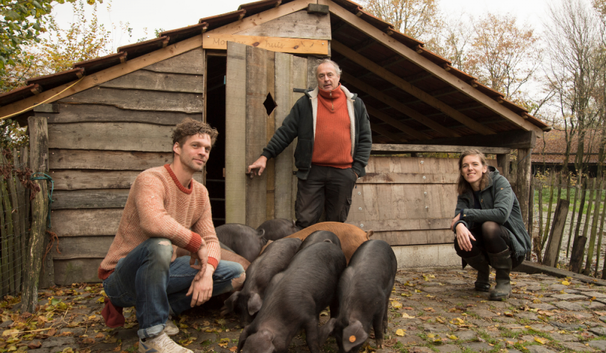 Boeren van Vark