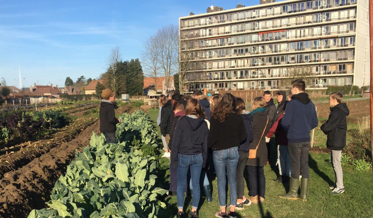 stadsakker tienen