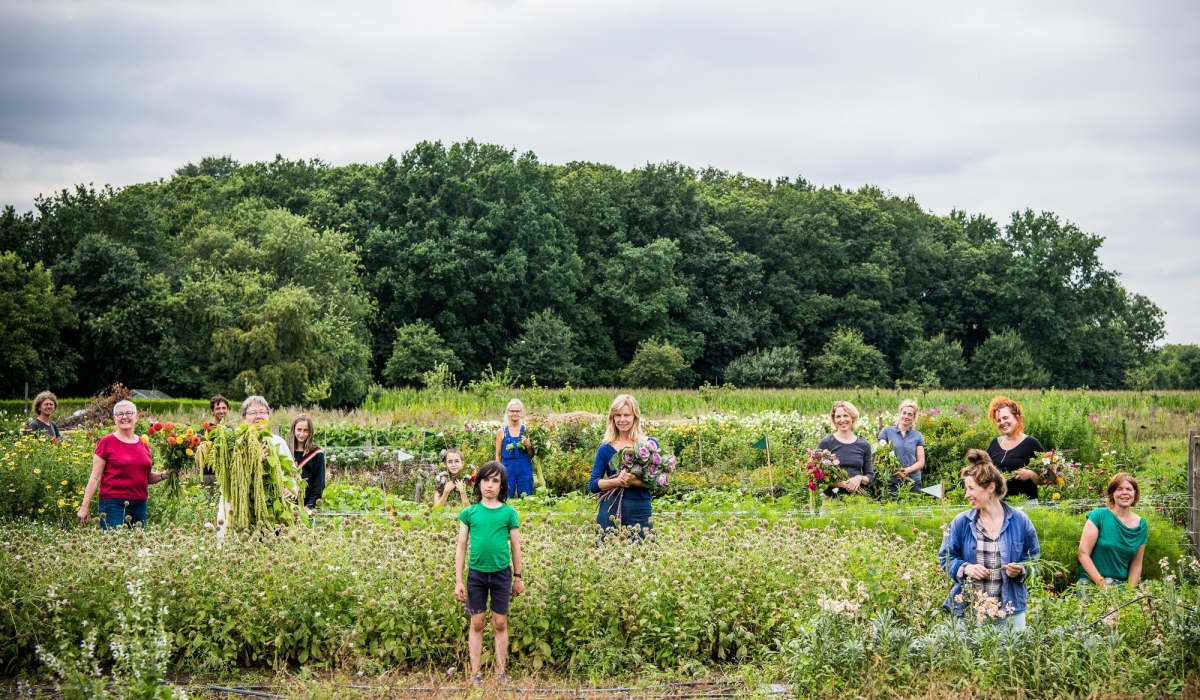 Veld Wommelgem