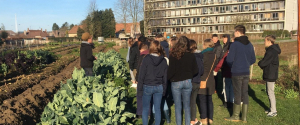 De StadsAkker in Tienen